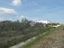 villa-singola-a-scanzano-jonico