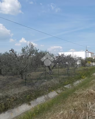VILLA SINGOLA A SCANZANO JONICO