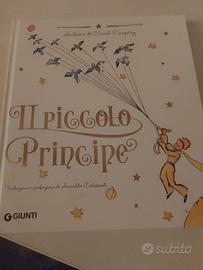 il piccolo principe