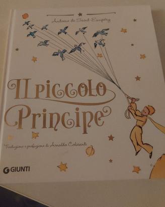 il piccolo principe