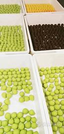 Pasticcere rosticcere