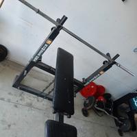 palestra