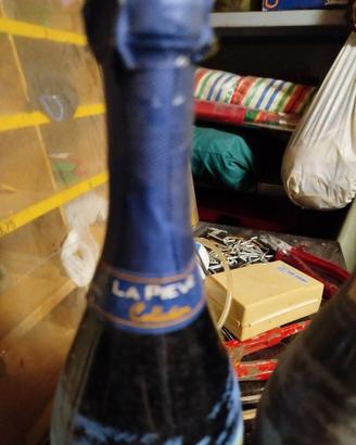 x collezionisti di bottiglie di vino 