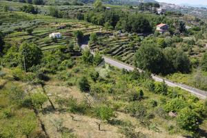 TER. AGRICOLO A GIARRE