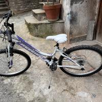 Bicicletta da donna
