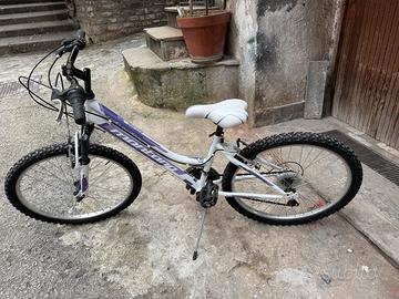 Bicicletta da donna