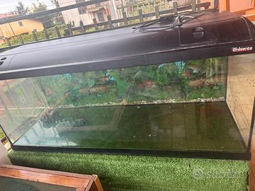 Acquario con pompa esterna