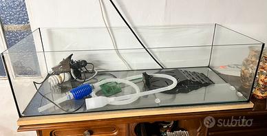 Tartarughiera , terrarium , tartarughe , anfibi