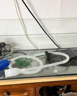 Tartarughiera , terrarium , tartarughe , anfibi