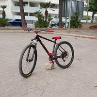 wheelie bike 29