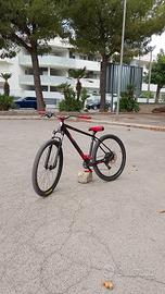 wheelie bike 29