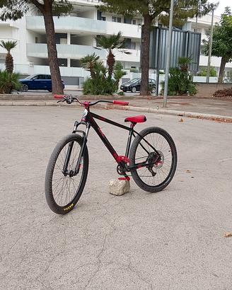 wheelie bike 29