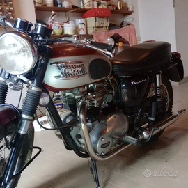 Triumph Thunderbird