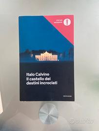 Libro Il castello dei destini Incrociati