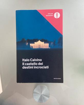 Libro Il castello dei destini Incrociati