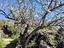 Immagine 28