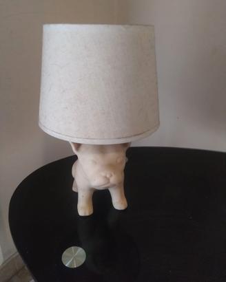 Bajour cucciolo