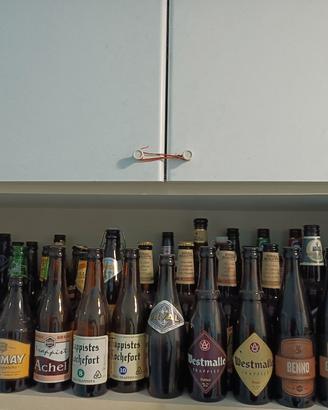 Collezione bottiglie di birra in vetro 