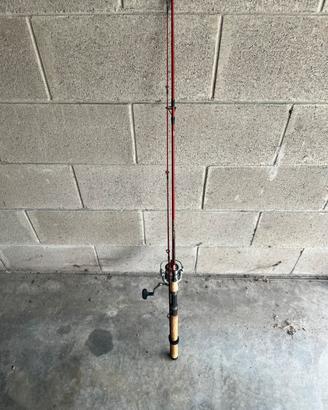 Canna da pesca con mulinello