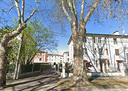 scoperto-a-vicenza