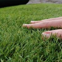 Prato sintetico professionale Nuovo 20/30mm