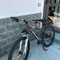 Rockrider st120 (custom)