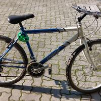 2 mountain bike