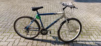 2 mountain bike