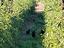 Immagine 5