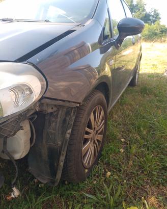 fiat punto evo diesel 