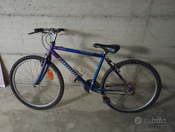 bici per ragazzo uomo