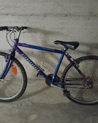 bici per ragazzo uomo