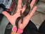 Immagine 4