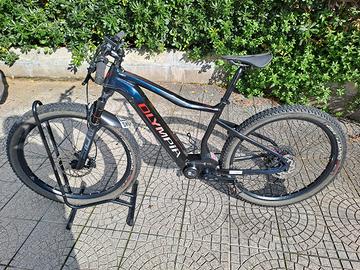 E-Bike Olympia 900 Performer