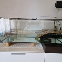 Acquario per tartarughe