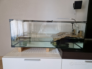 Acquario per tartarughe