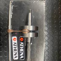 albero motore piaggio per zip stalker typhoon ntt