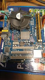 Scheda madre  ASrock G31M-S