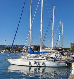 Barca a Vela in condivisione
