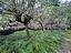 Immagine 20