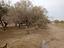 Immagine 13