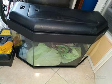 acquario Advance