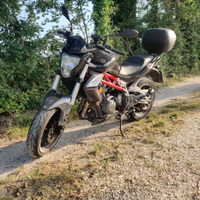 Benelli bn 302 2017 abs