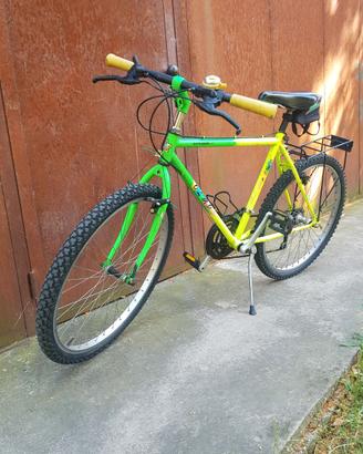 MTB Giuspeppe Olmo Vintage