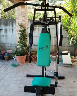 Panca multifunzione Lineaflex Fitness Pro usata