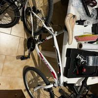 MTB  24 pollici