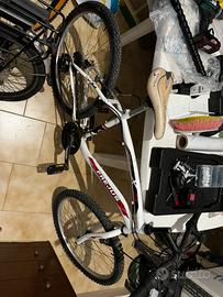 MTB  24 pollici