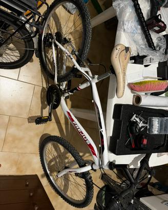 MTB  24 pollici