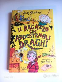 il ragazzo che addestrava i draghi