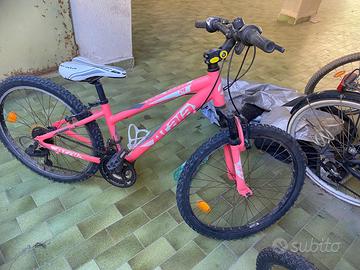 Bicicletta